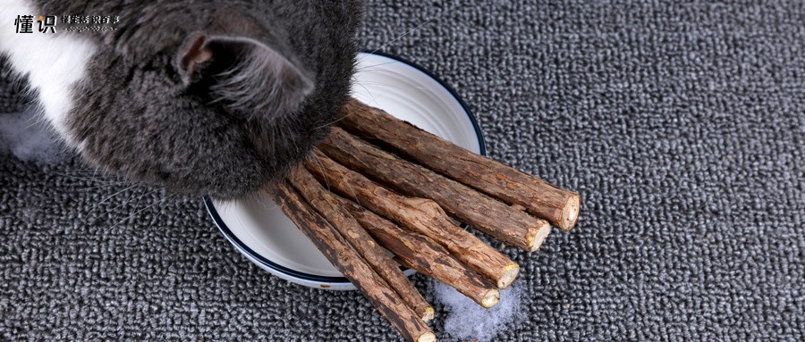 木天蓼是什么植物？木天蓼对猫咪的害处