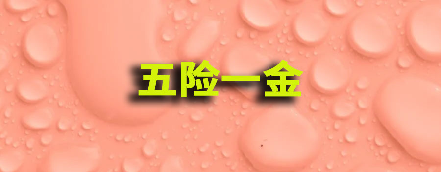 五险一金指什么？五险一金的用处大吗