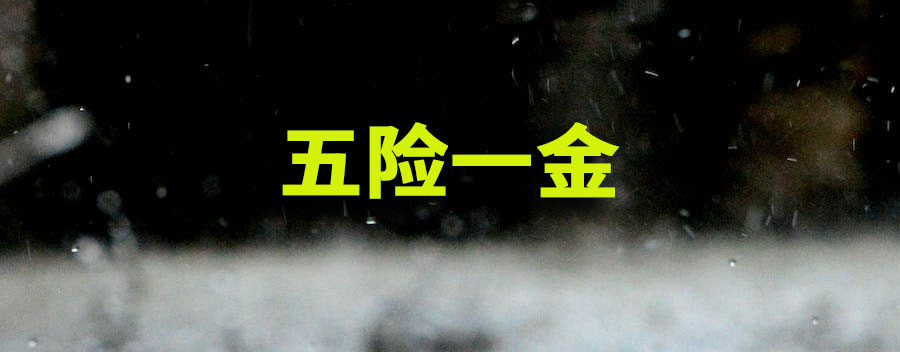 五险一金缴费标准?个人和公司缴费比例