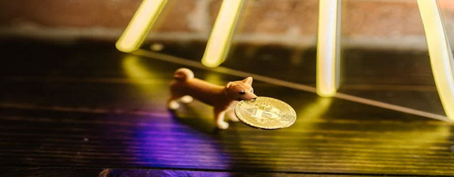 央行被动购汇是什么意思？购汇和售汇是一样的吗