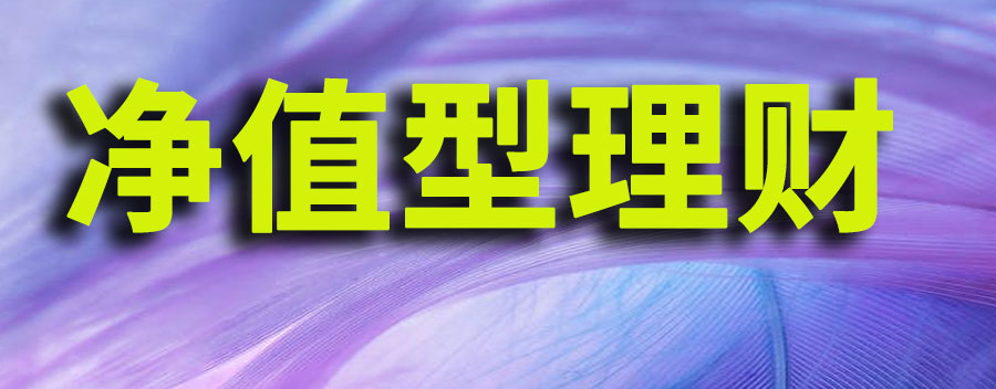 净值型理财产品是什么意思？理财净值型和非净值买哪个好