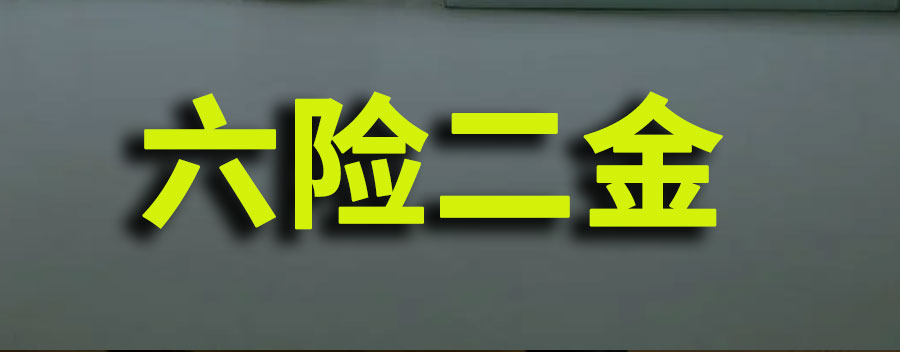 六险二金指什么?六险两金与五险一金的区别