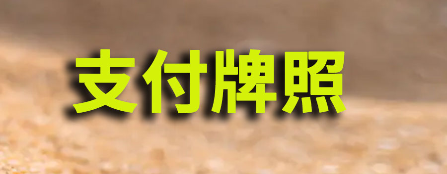 支付牌照是什么东西？支付牌照的种类和类型