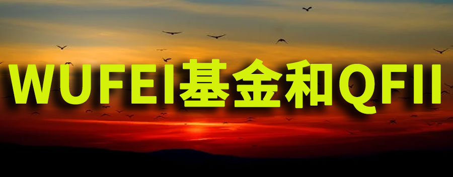 wufei基金是什么？wufei基金和QFII的区别