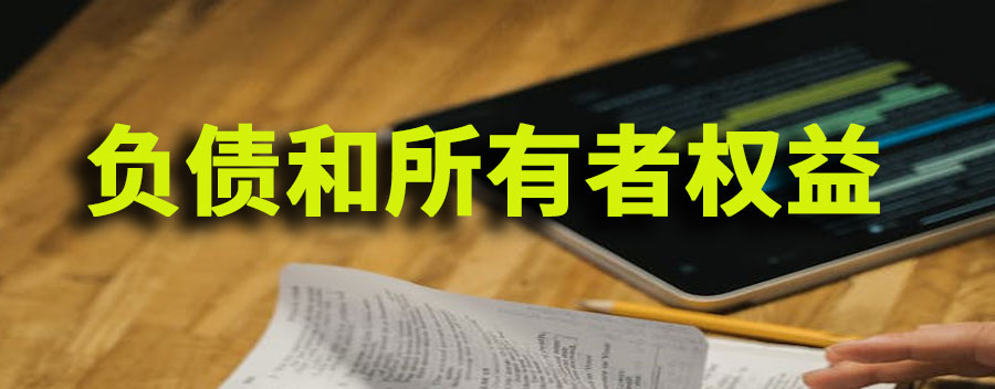 负债和所有者权益分别是谁的权益