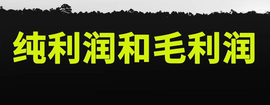 纯利润和毛利润什么意思？有什么区别