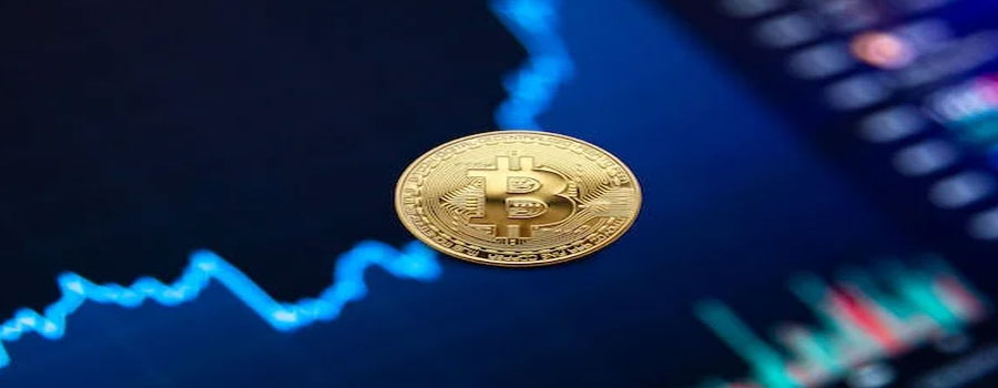 货币资金增加的原因有哪些？具体有什么样的作用