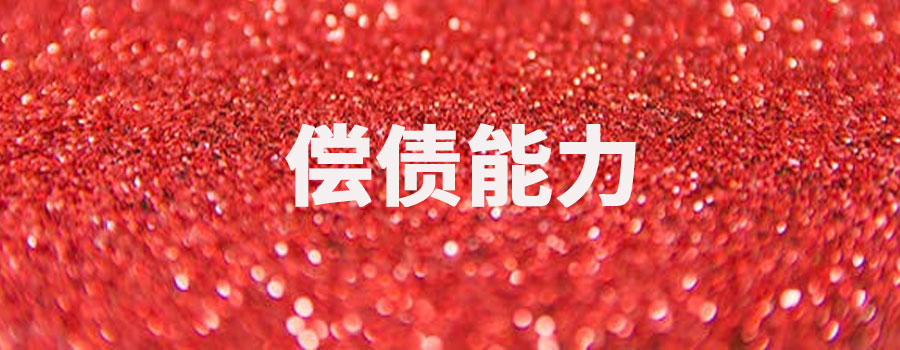 什么是偿债能力？偿债能力包括哪些内容